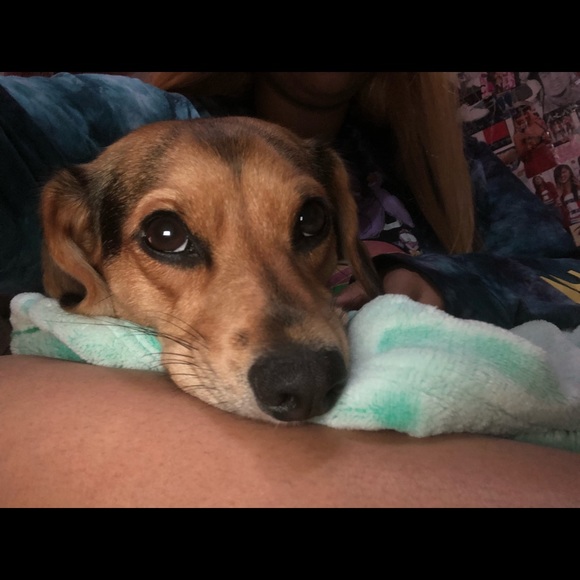 💗⭐️💗CHAR💗⭐️💗 - Picture 2 of 8